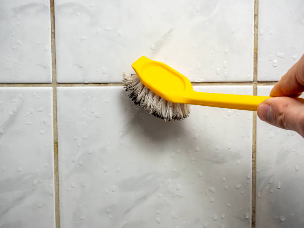Mold Removal and Inspection in Iota, LA