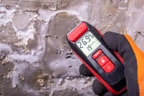 Reliable Iota, LA Mold Removal Solutions