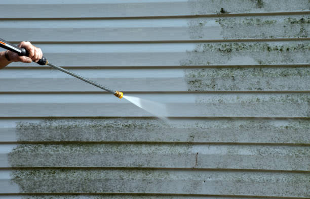 Mold Testing and Removal in Iota, LA